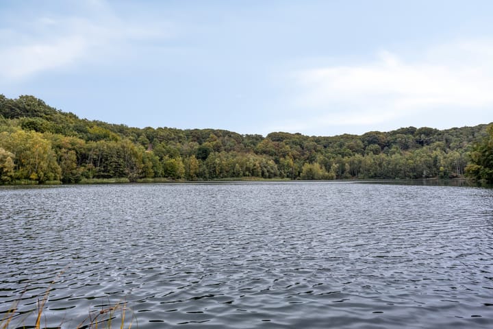 Foto 49 van Rietgors 3