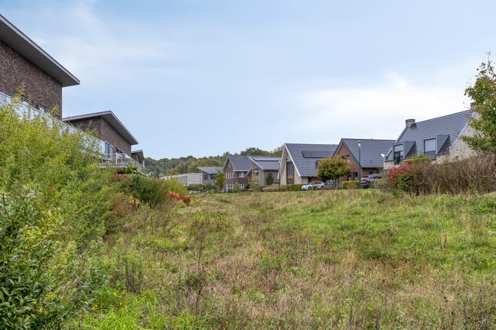 Foto 51 van Rietgors 3