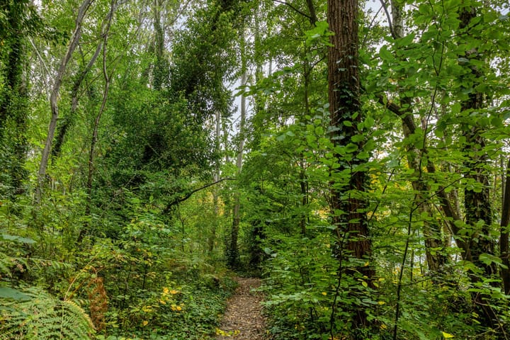 Foto 52 van Rietgors 3