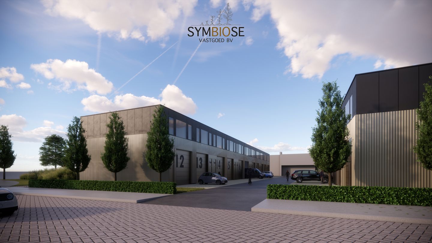 Bekijk foto 1 van Veenbes 9-A18