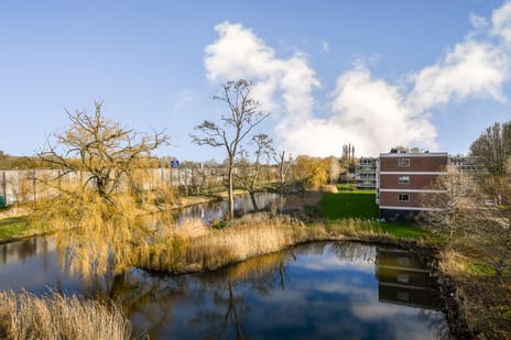 van Blankenheimstraat 110 secondary image