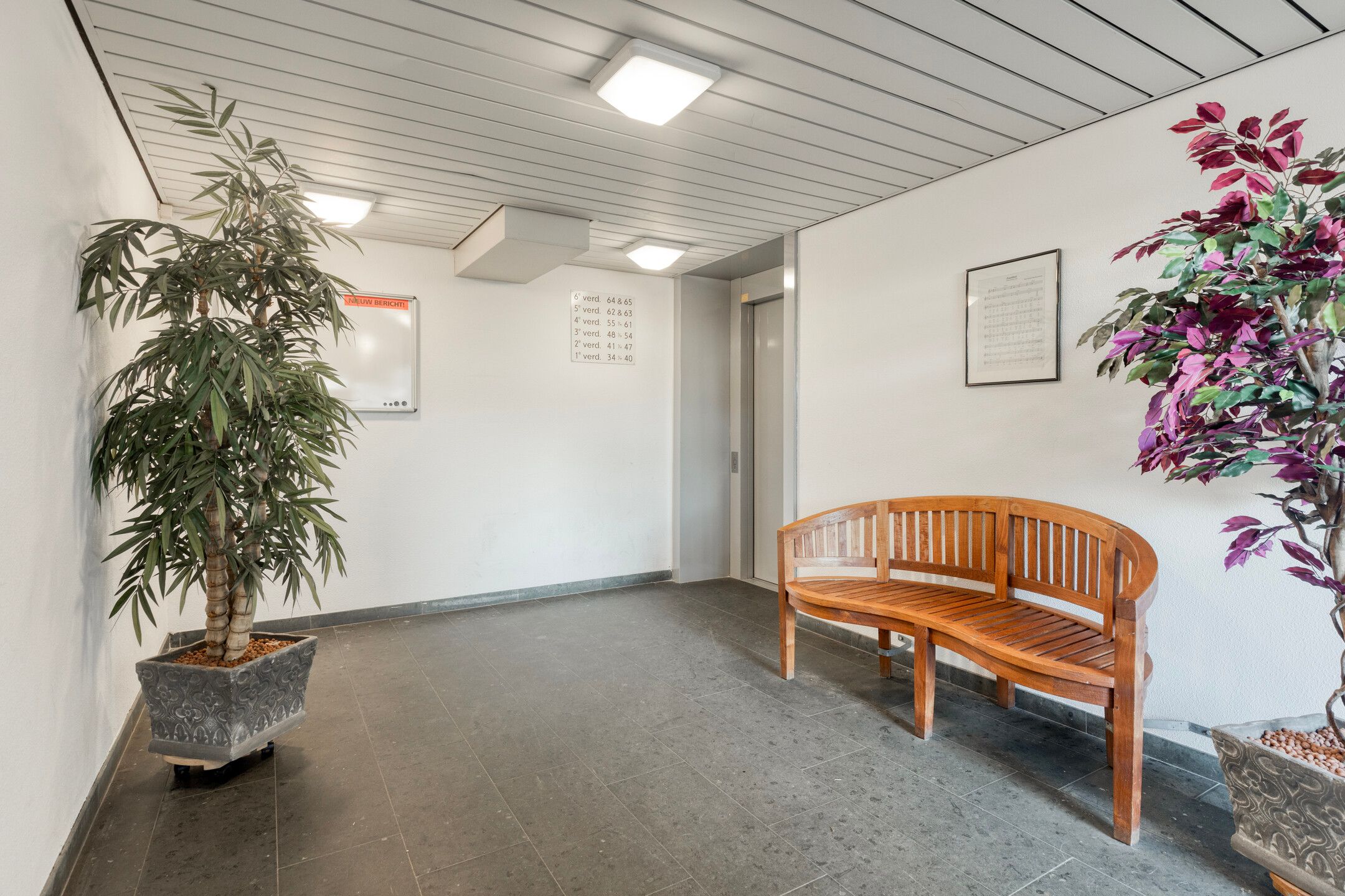 Foto 6 van De Steven 59