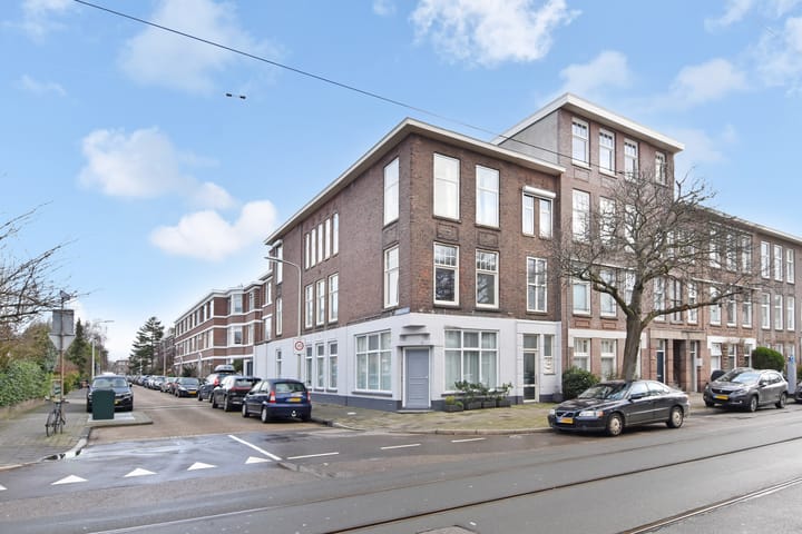 Goudenregenstraat 239
