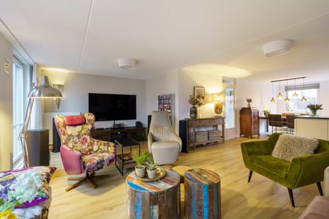 Pikeur 13 secondary image