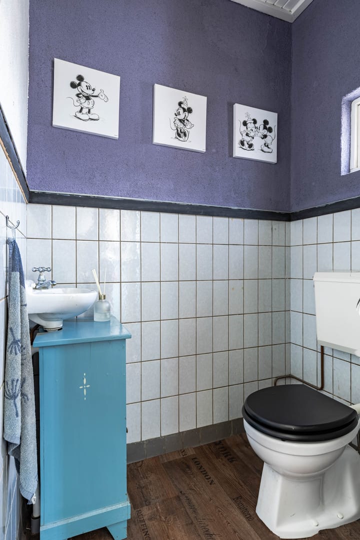 Foto 9 van Hoofdweg 65