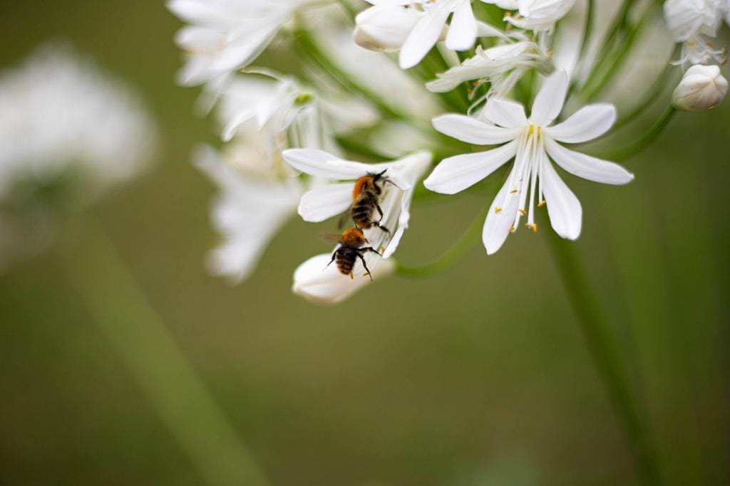 Foto 66 van Huisterheide 1