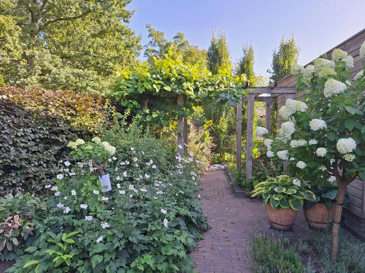 Foto 49 van Steinwegstraat 19