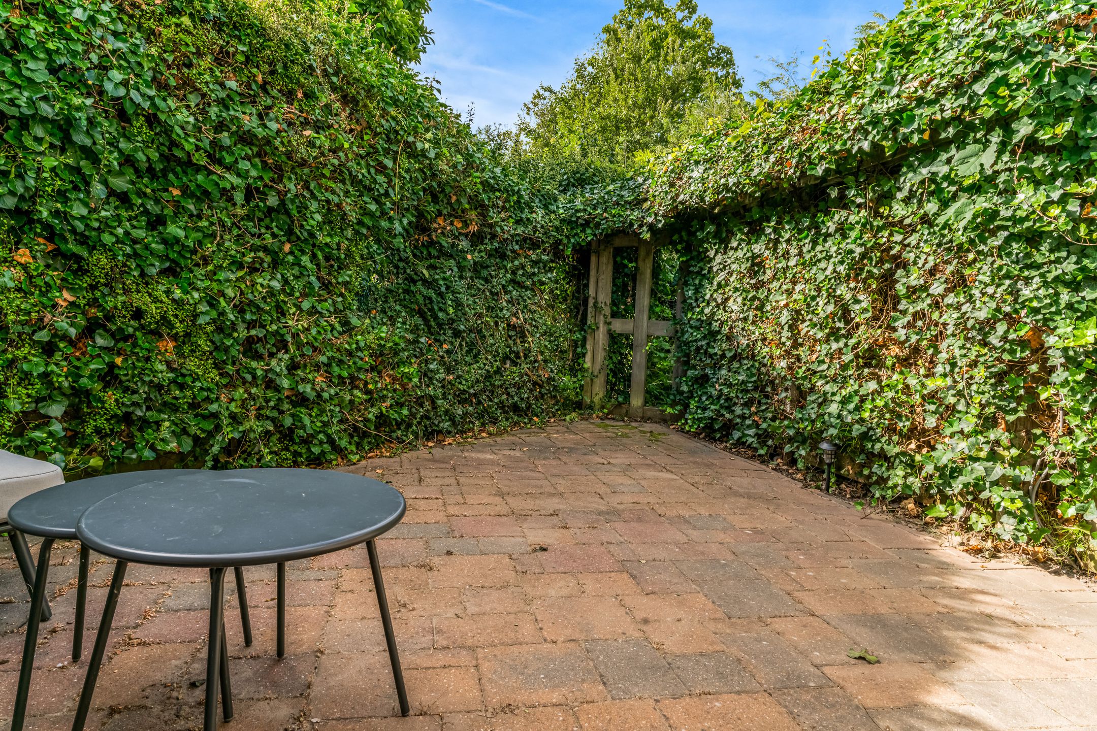 Photo 27 of Weesperveste 7