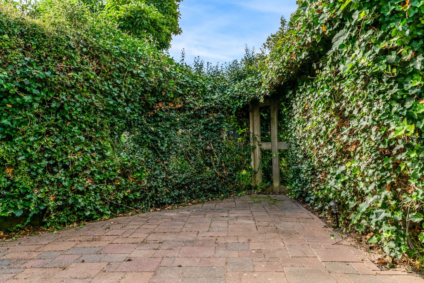 Photo 35 of Weesperveste 7