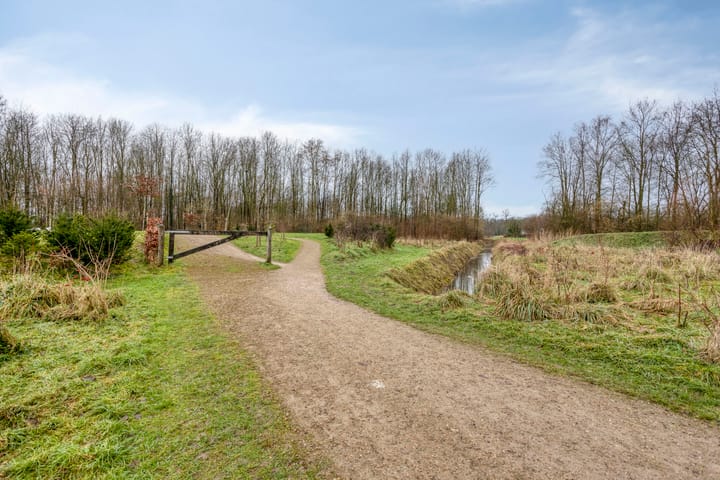 Photo 53 of Burgemeester Lewe van Aduardstraat 47