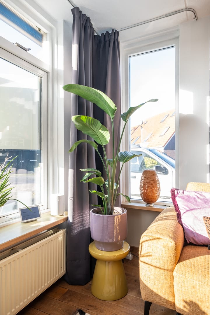 Foto 6 van Sluyscoog 33