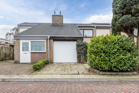 undefined main image