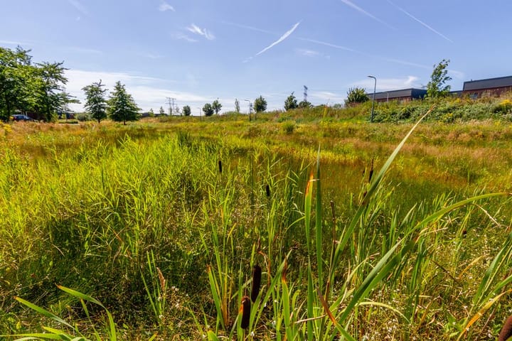 Foto 8 van Craenweide 25