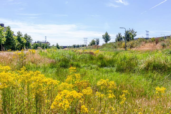 Foto 6 van Craenweide 25