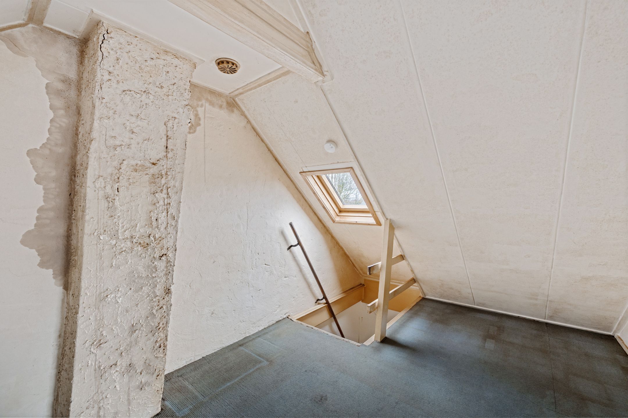 Foto 24 van Tramstrjitte 2