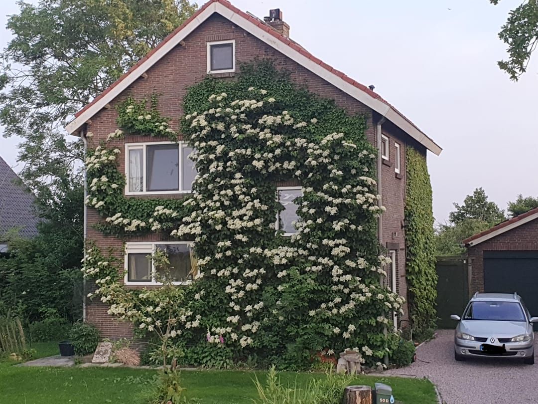 Foto 11 van Monnickendammerrijweg 50-D