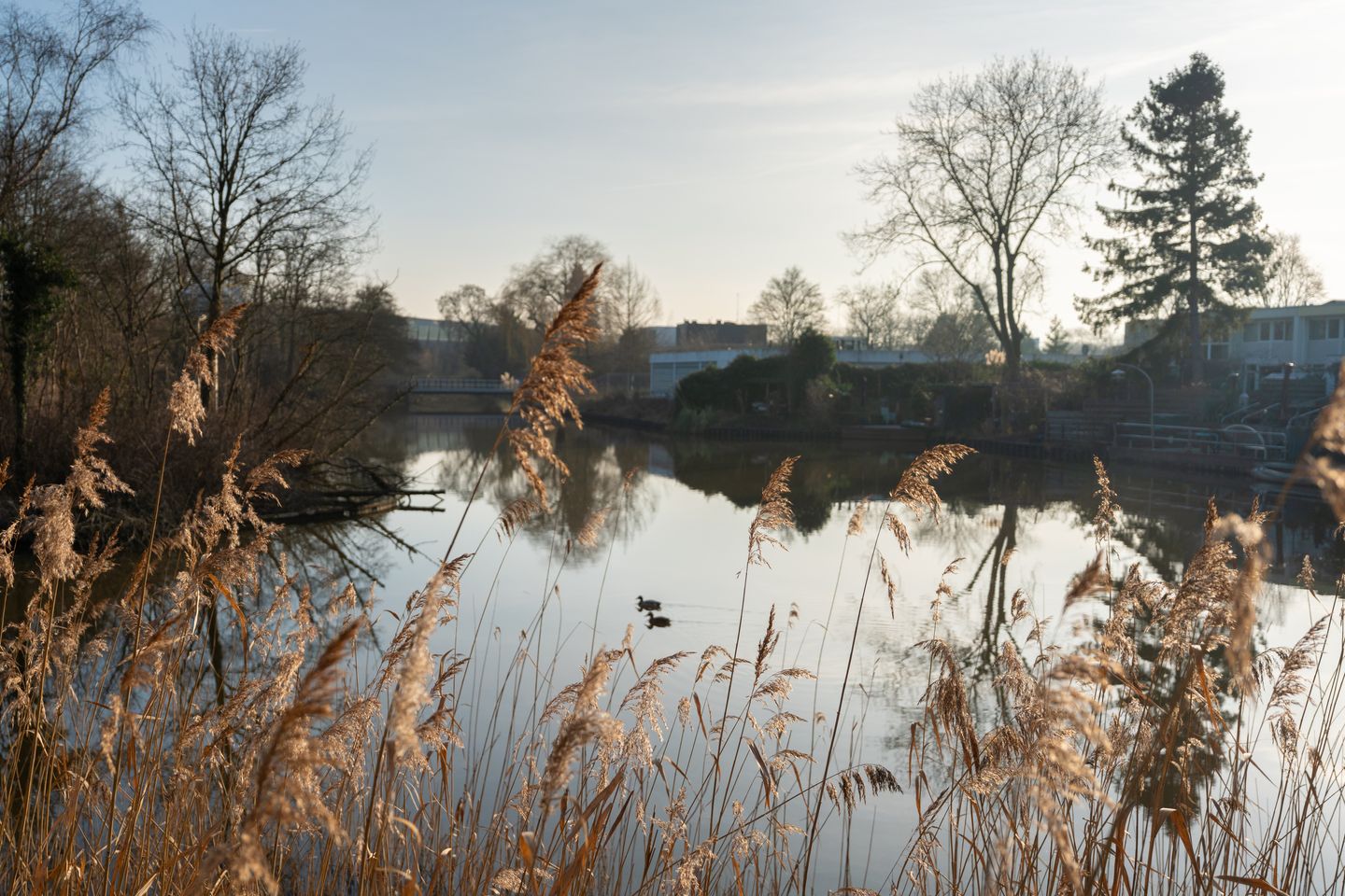 Foto 35 van Kantershof 296