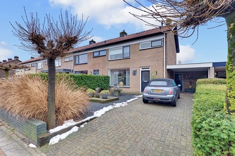 Cort van der Lindenlaan thumbnail