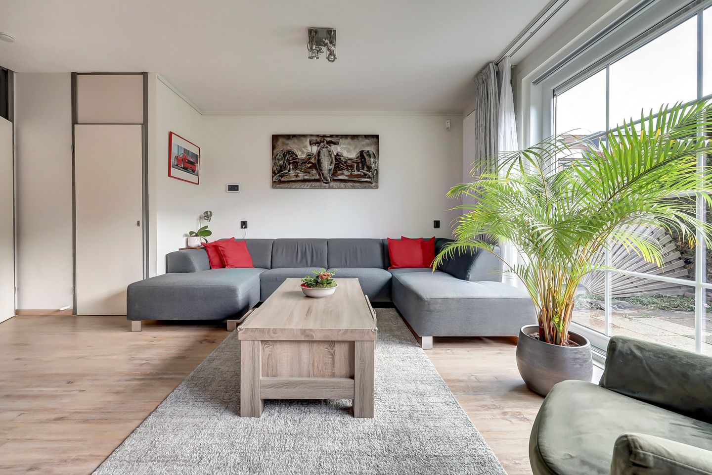 Foto 4 van Zwenkgras 17