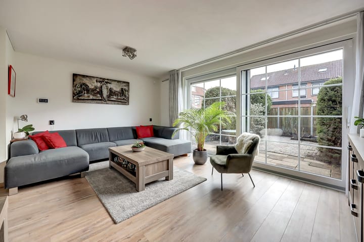 Foto 5 van Zwenkgras 17