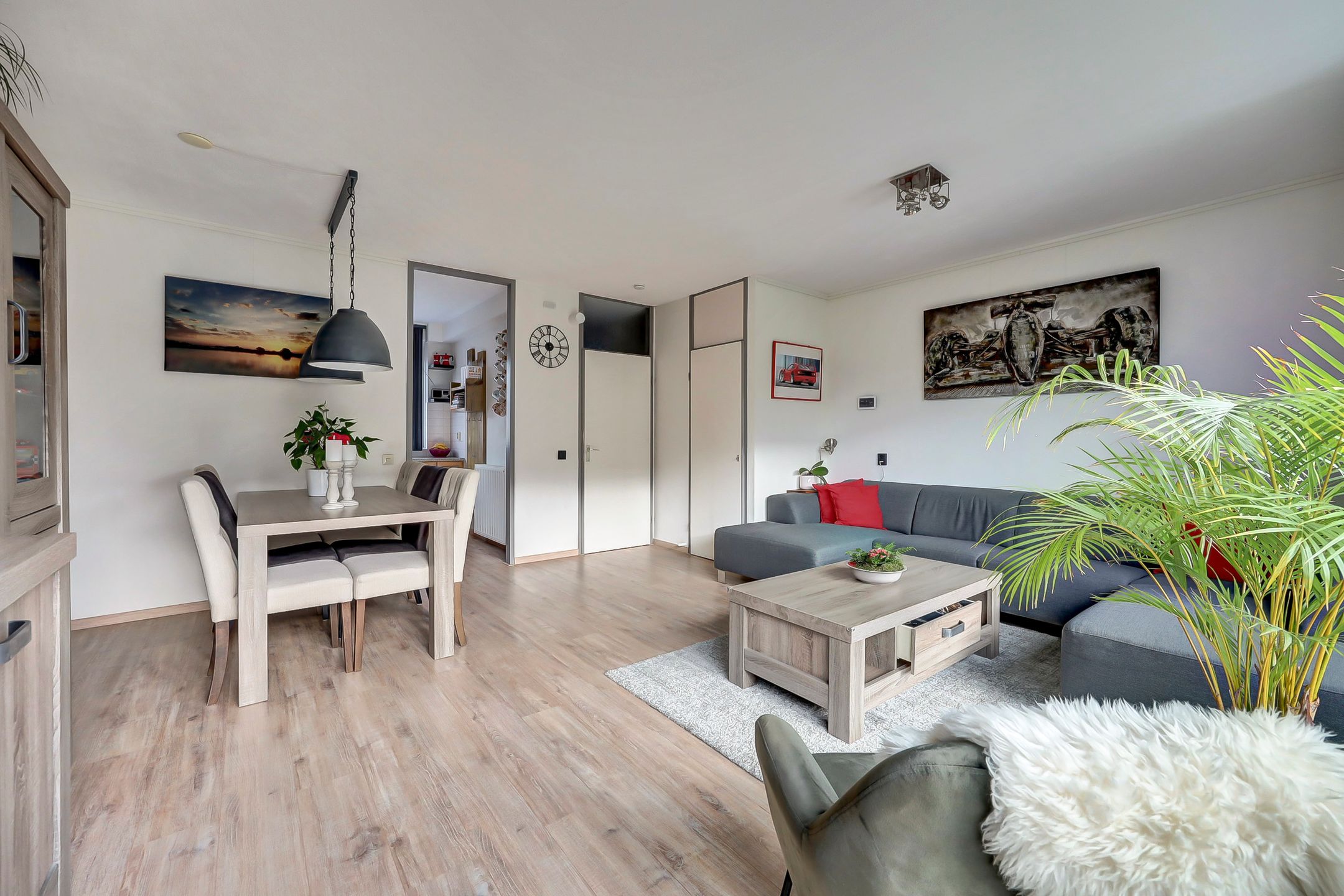 Foto 6 van Zwenkgras 17