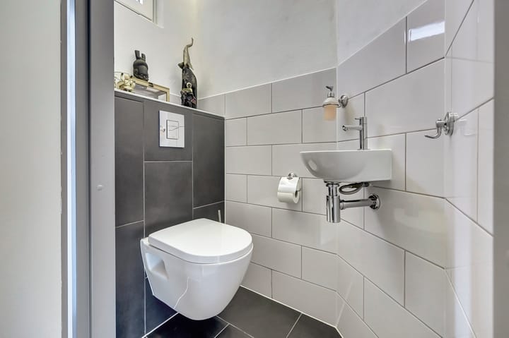 Foto 15 van Zwenkgras 17