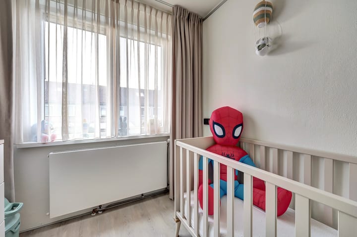 Foto 27 van Zwenkgras 17