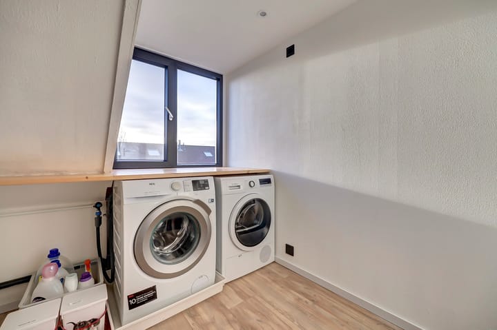 Foto 39 van Zwenkgras 17