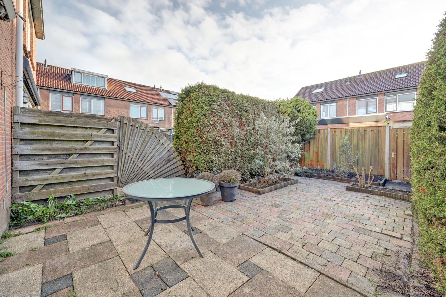 Foto 40 van Zwenkgras 17