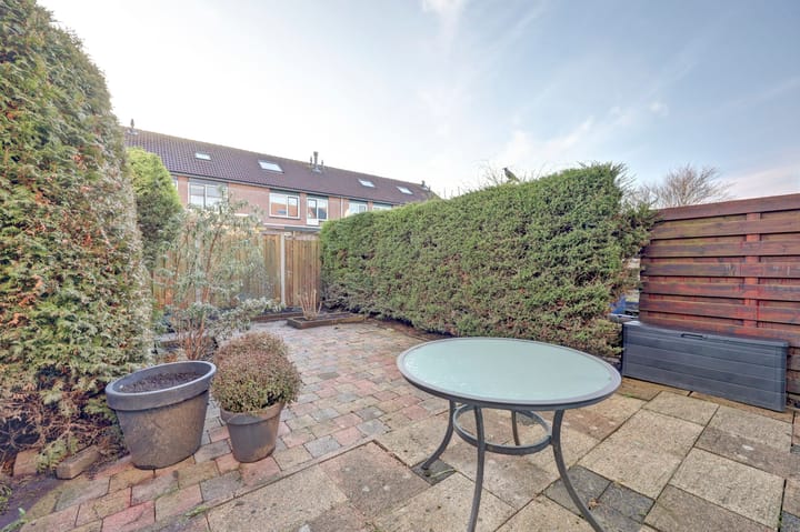 Foto 41 van Zwenkgras 17