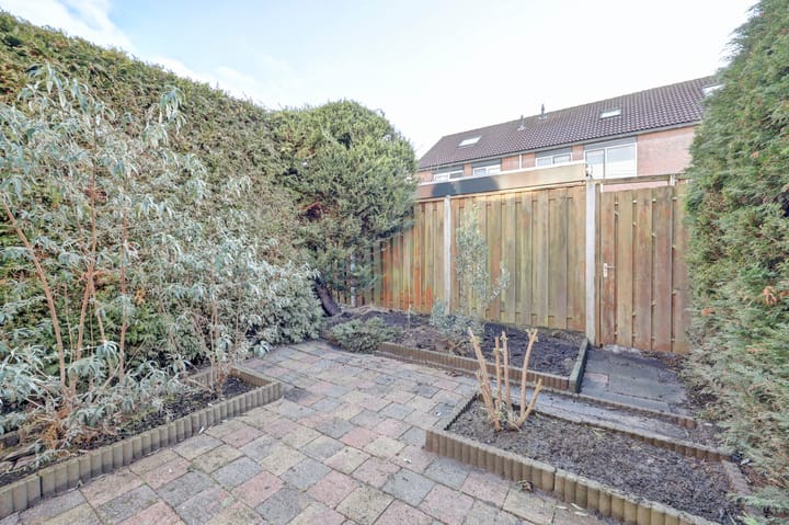 Foto 42 van Zwenkgras 17