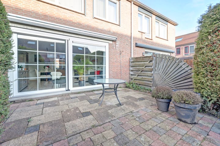 Foto 43 van Zwenkgras 17