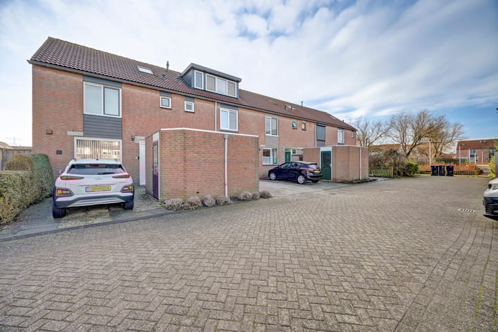 Foto 45 van Zwenkgras 17