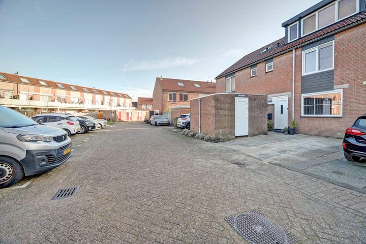 Foto 46 van Zwenkgras 17