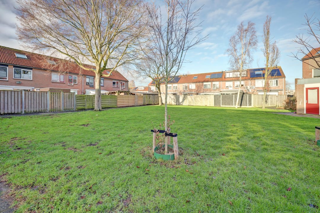 Foto 47 van Zwenkgras 17