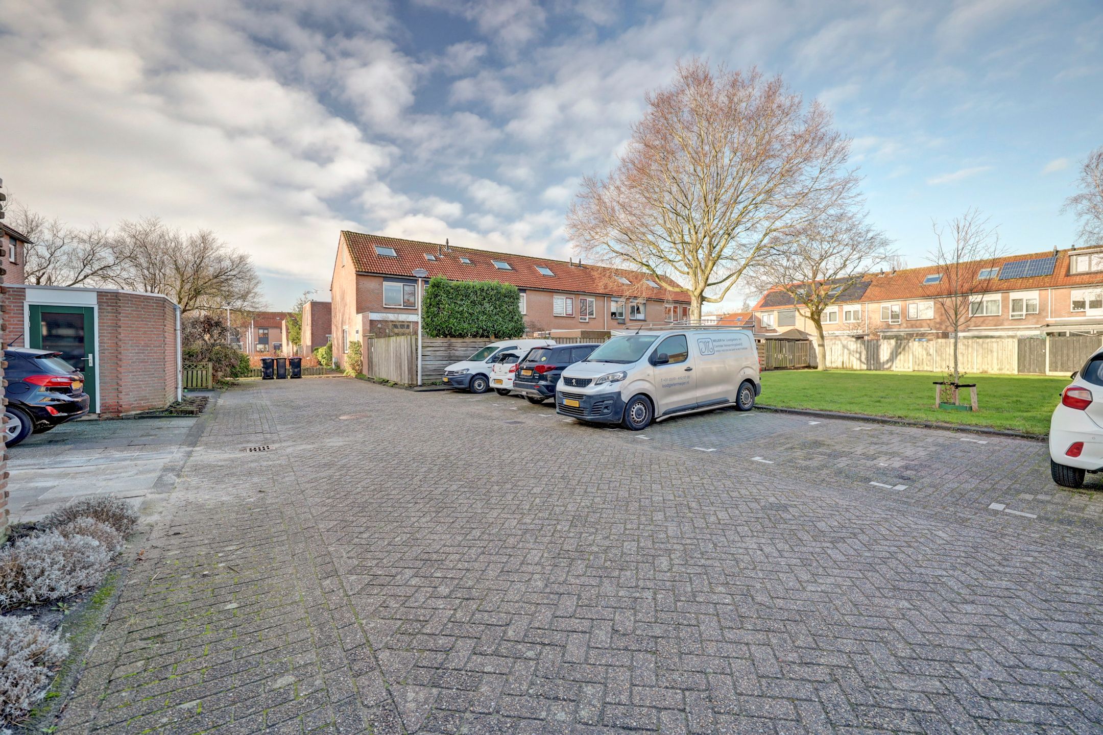 Foto 48 van Zwenkgras 17