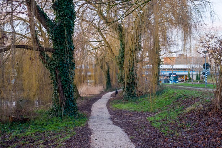 Foto 34 van Gleditsiastraat 45