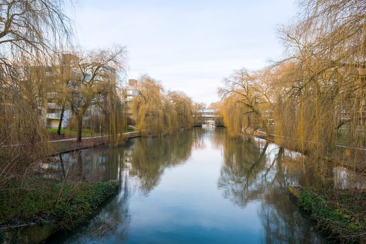 Foto 30 van Gleditsiastraat 45