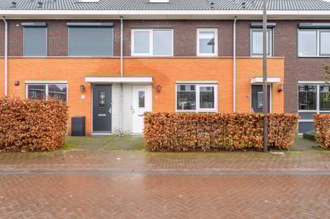 undefined main image