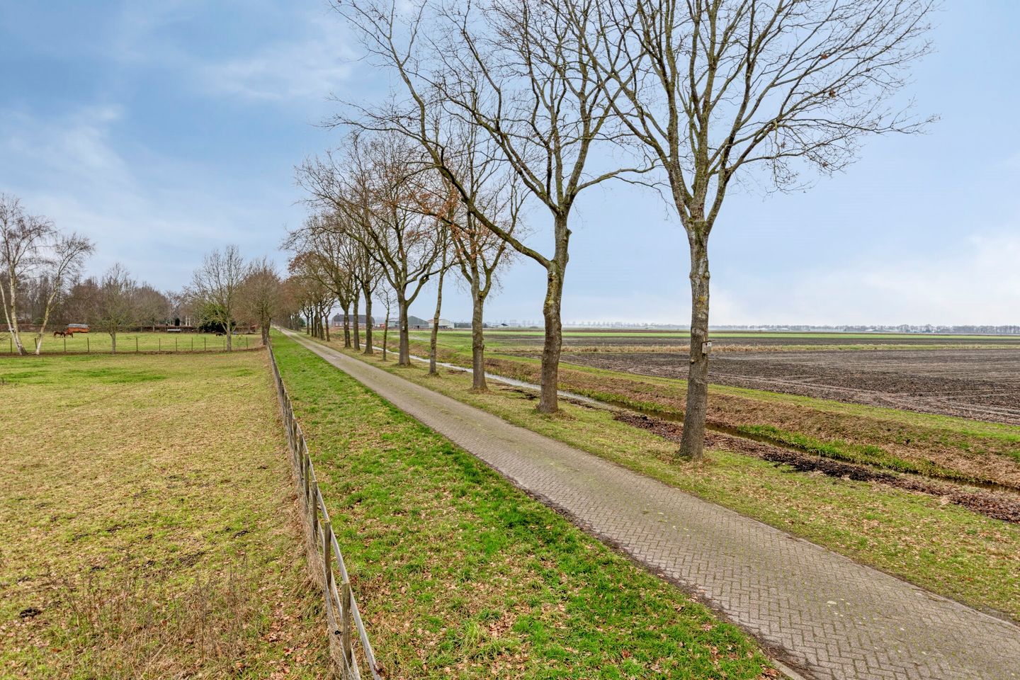 Foto 50 van Zuiderdiep 190