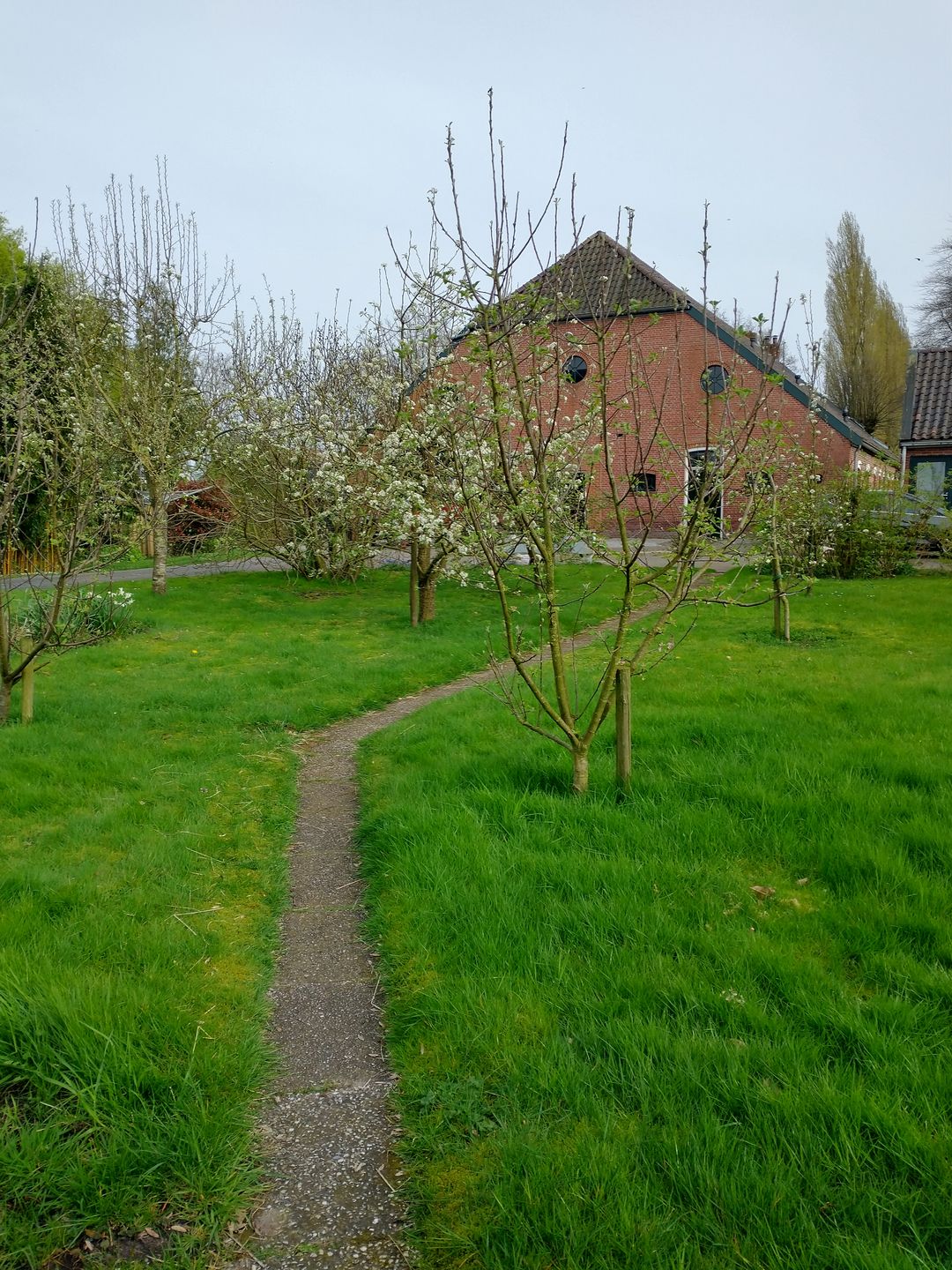 Foto 53 van Zuiderdiep 190