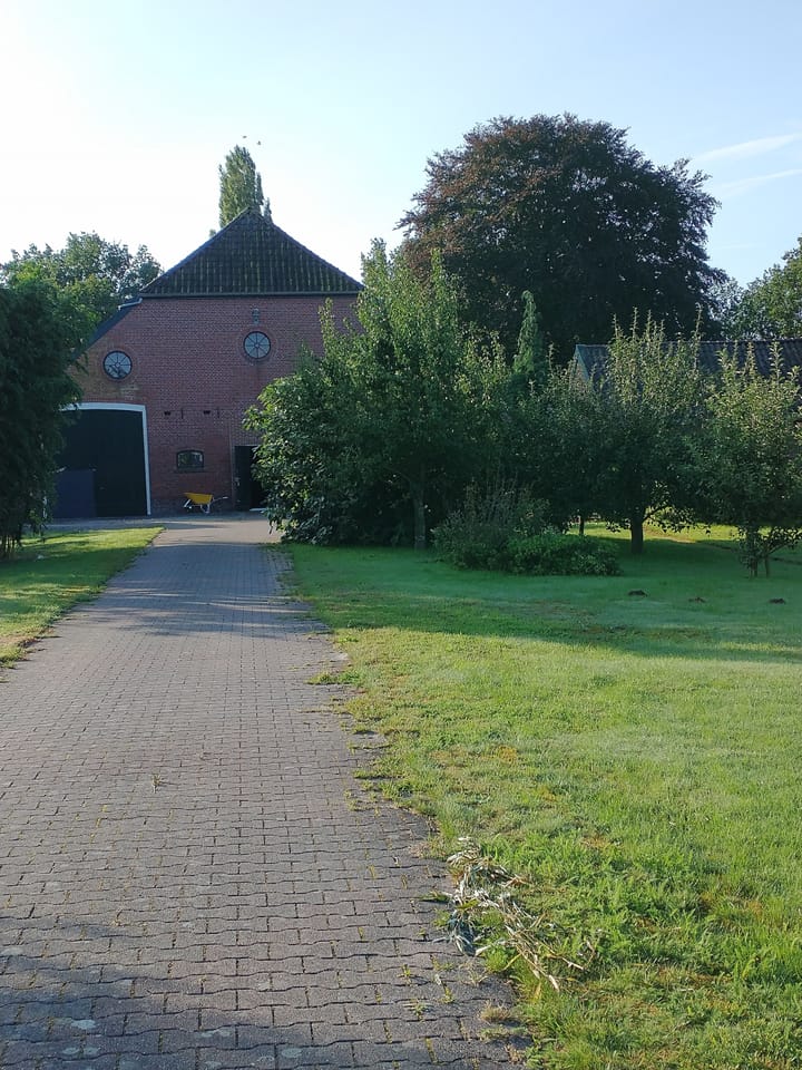 Foto 54 van Zuiderdiep 190