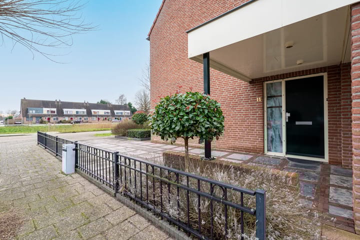 Foto 40 van Botter 11