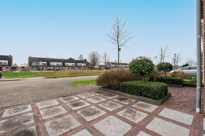 Foto 41 van Botter 11