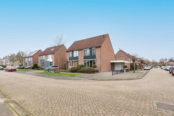 Foto 44 van Botter 11