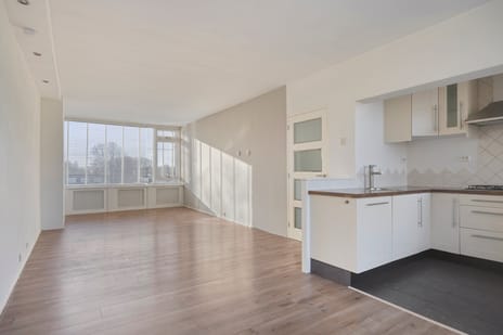 Nieuwenoord thumbnail