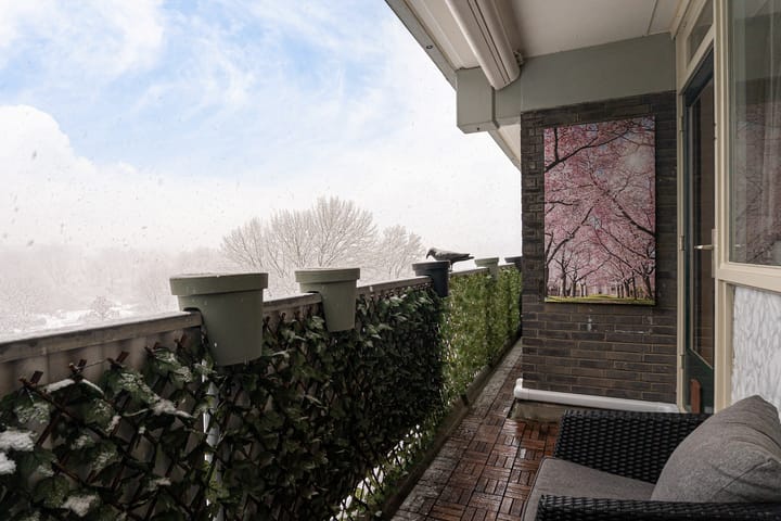 Foto 24 van Stadhoudersring 462