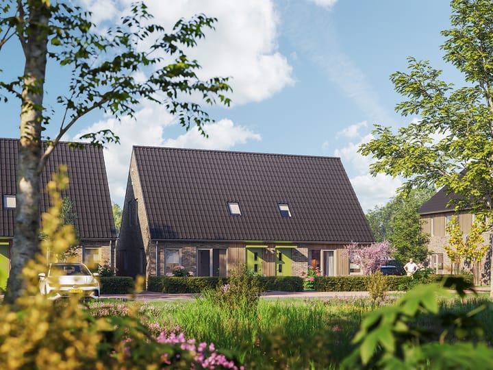 Foto 2 van Aster (Bouwnr. 12)