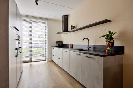 Douglashout 65 tertiary image