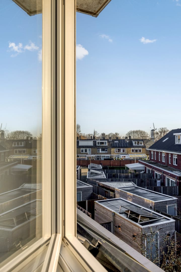 Photo 26 of Blauwe wijngaardrank 30